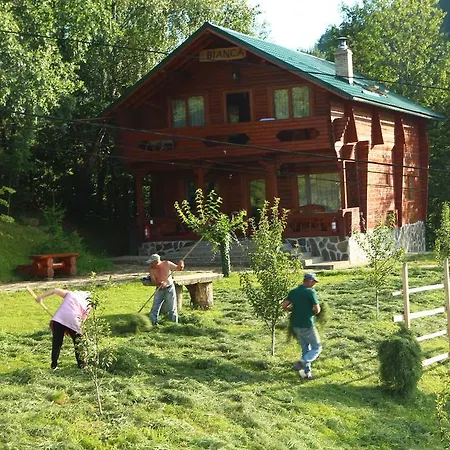 Seky Farm stay *